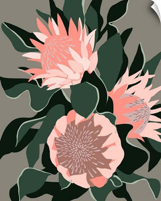 Pink Protea