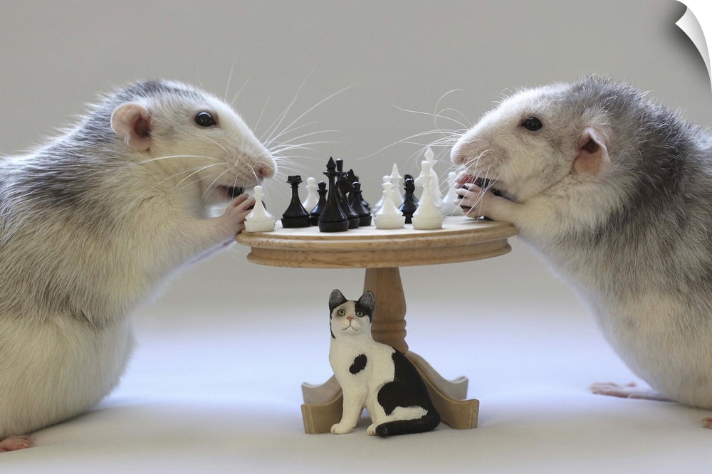 Two rats playing with a miniature chessboard.