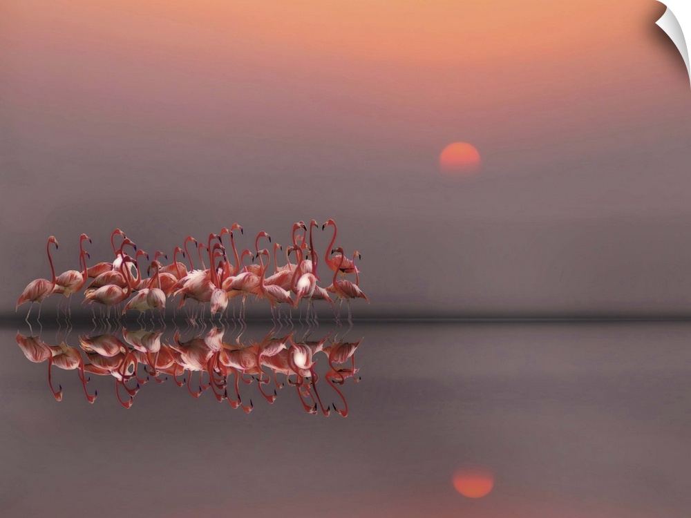 A photograph of flamingos standing around in still water.