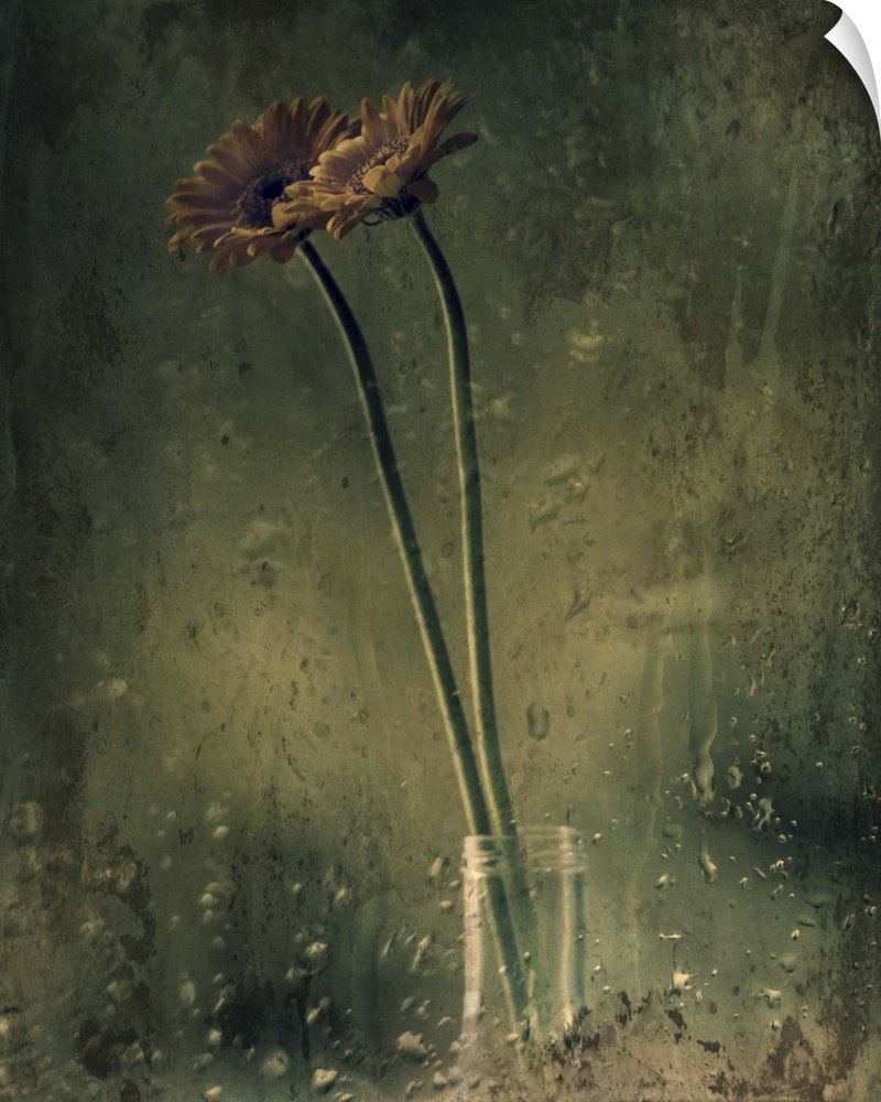 Grungy photograph of long stem flowers in a small glass vase.