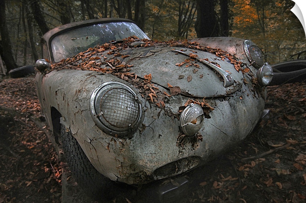 Old, abandoned car in a forest covered in leaves, with cracked, peeling paint.