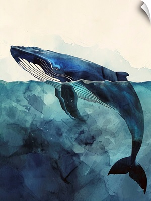 Sea Life Whale