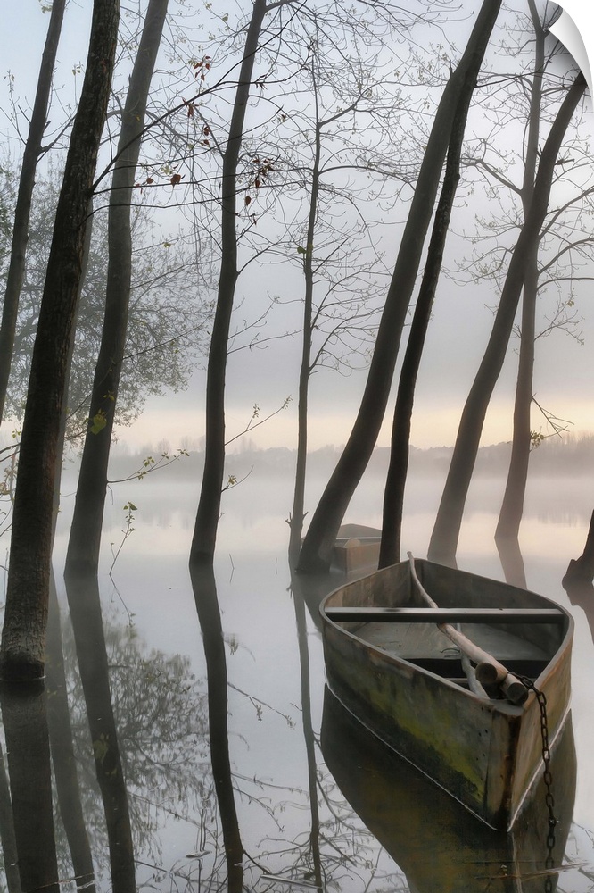 Two boats and several trees growing in the shallow water of Pateira de Fermentelos, Portugal.