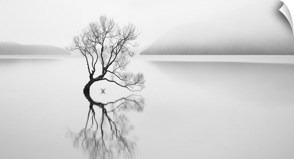 A tree with bare branches submerged in a lake, with its mirror image reflecting in the water.