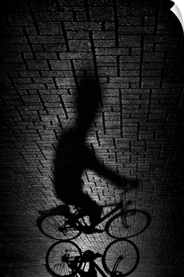 Shadow Bike