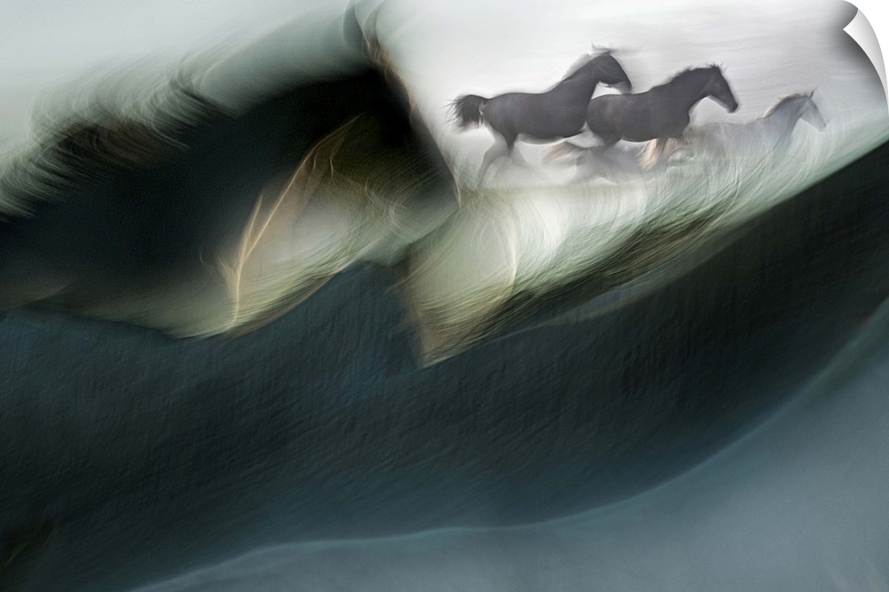 Blurred motion image of a herd of galloping horses, framed by the mane of a horse in the foreground.