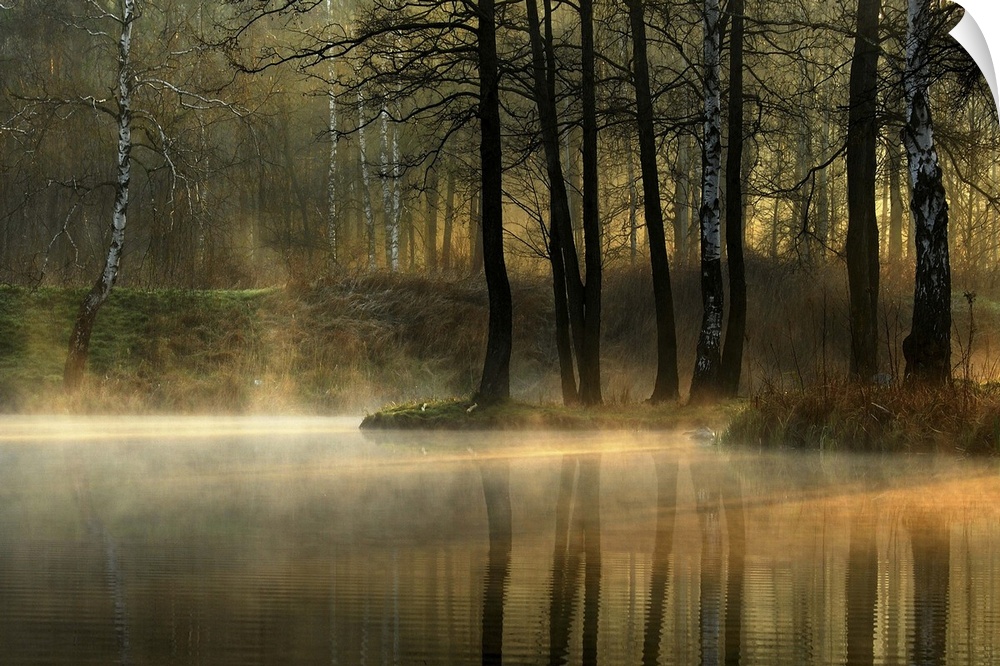 Mist rising from a pond in a forest with morning light filtering through the trees.