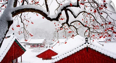 Snow In Temple