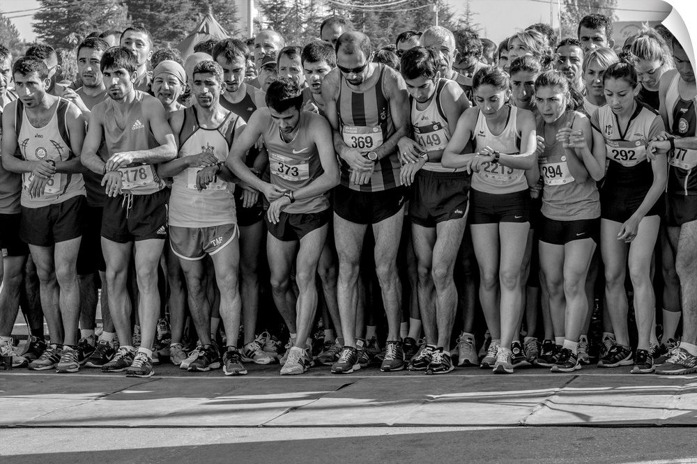 A portrait of a large group of people lined up and ready to race.