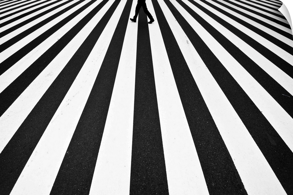 A pattern created by a zebra crossing in the street is broken by a figure walking across.
