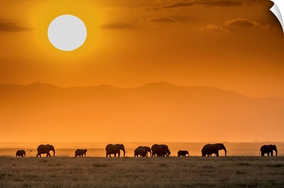 Sunrise Over Amboseli