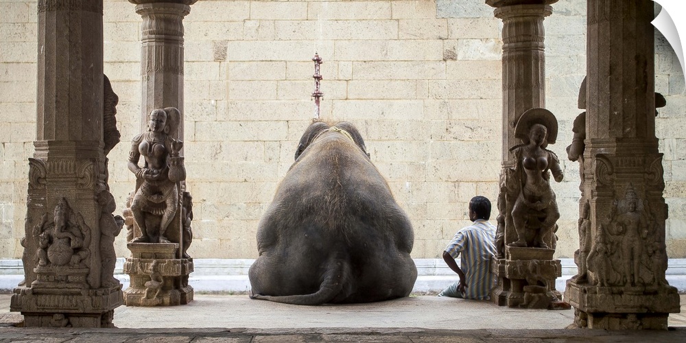 An elephant and a man sit side by side in a temple in India.