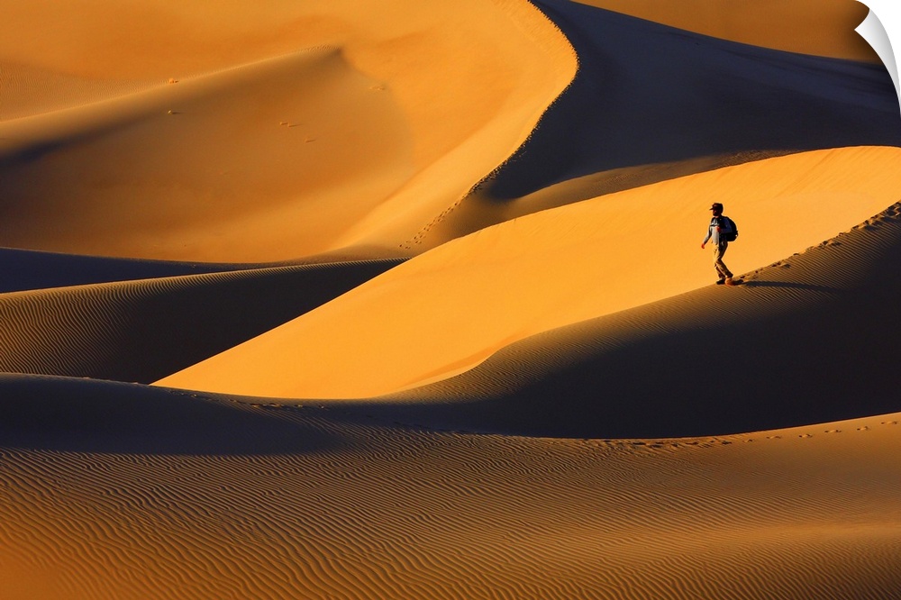 A person walks on a sand dune in a golden desert at sunset.