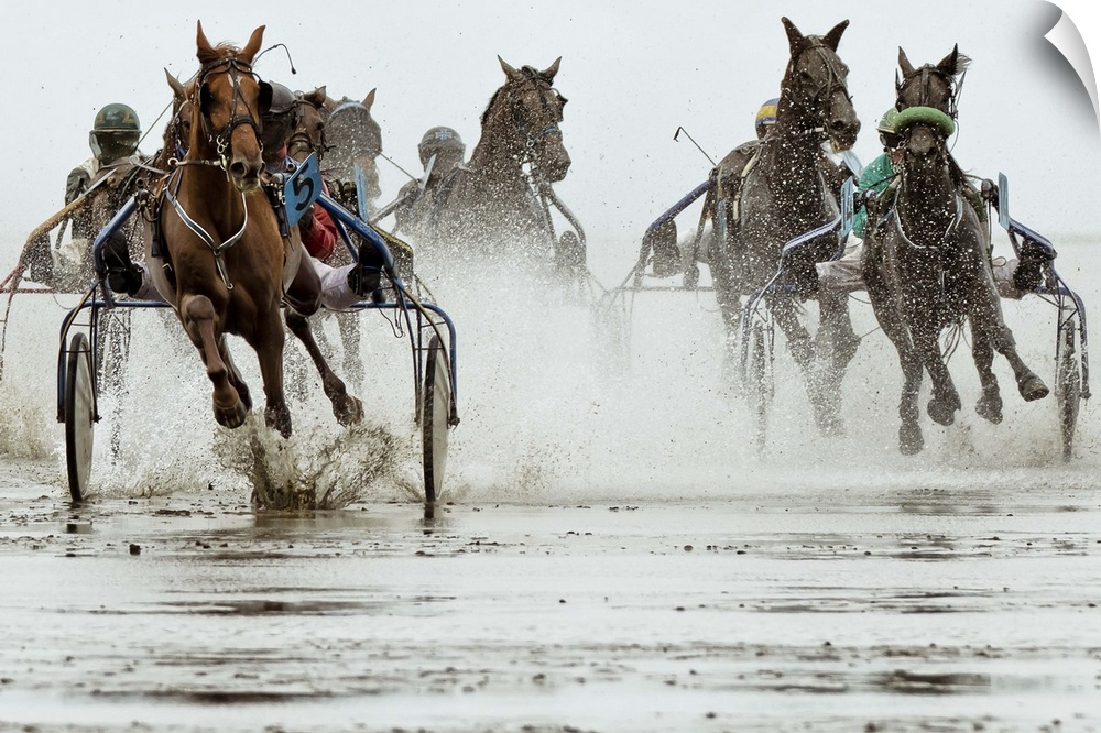 Action shot of a harness race, where horses pull a two-wheeled cart called a sulky.