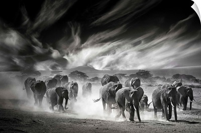 The Sky, The Dust And The Elephants
