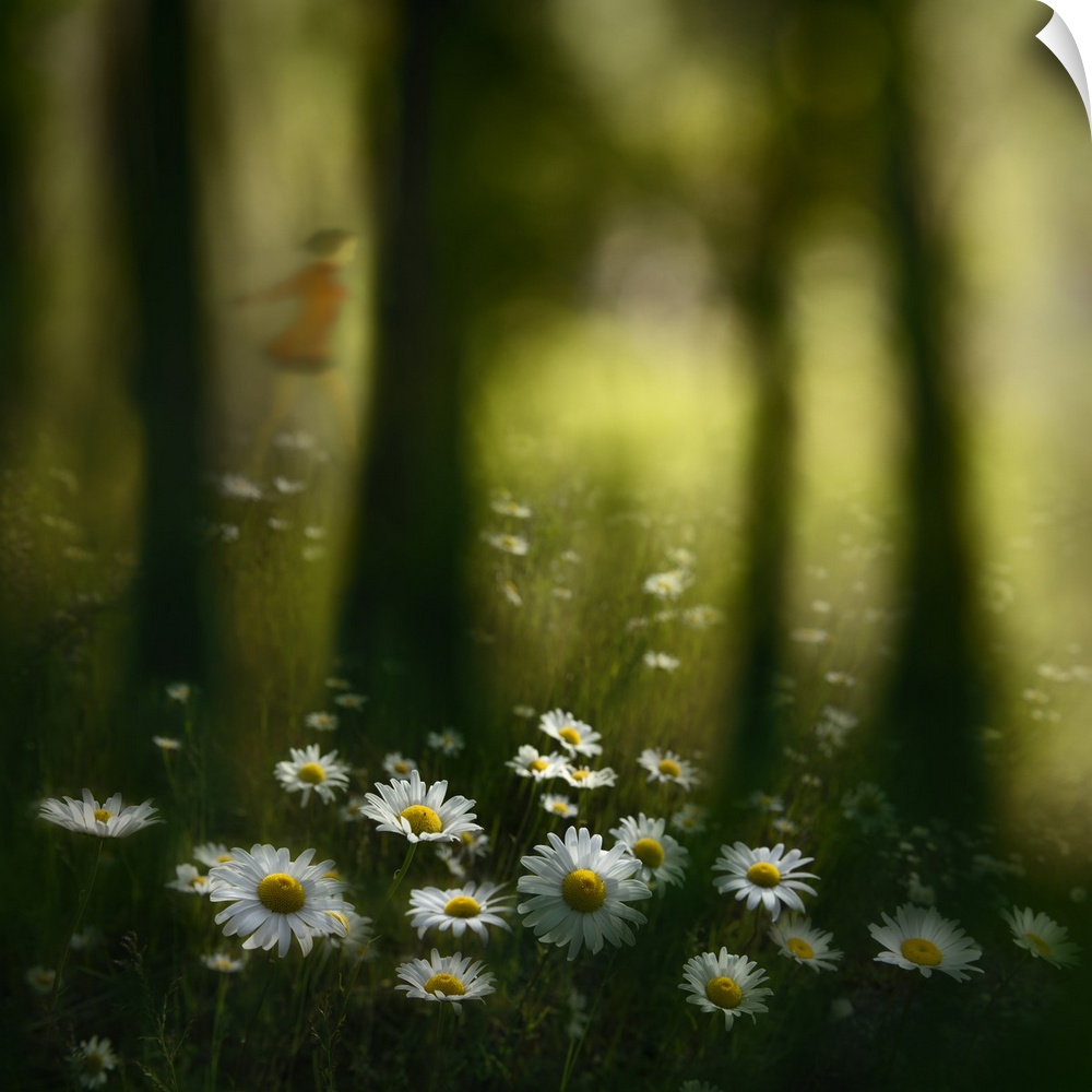 An abstract photograph of  girl frolicking through a flowery forest meadow.