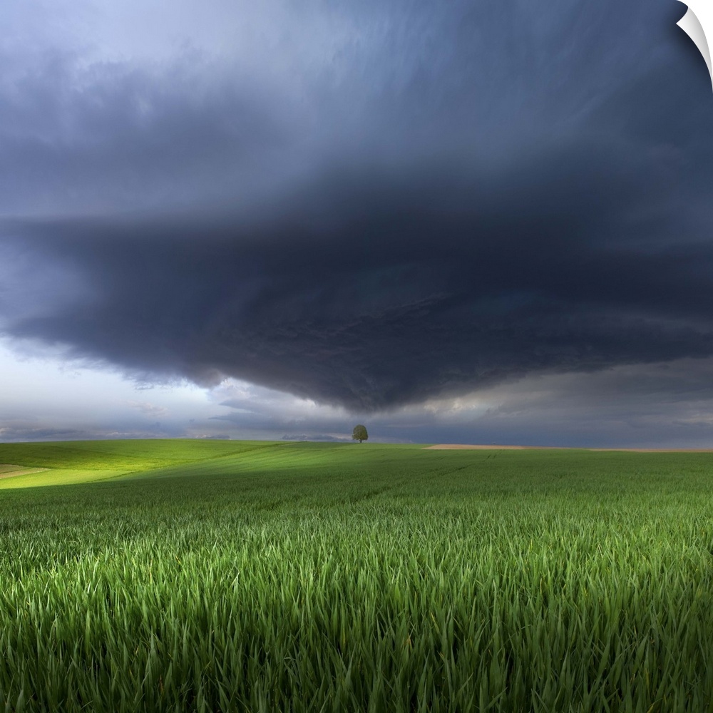 A dark storm cloud heading towards a tree in a green field in Germany.