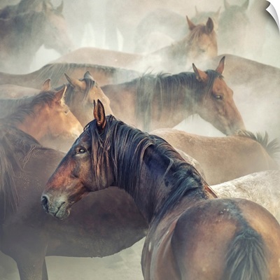 Tired Horses