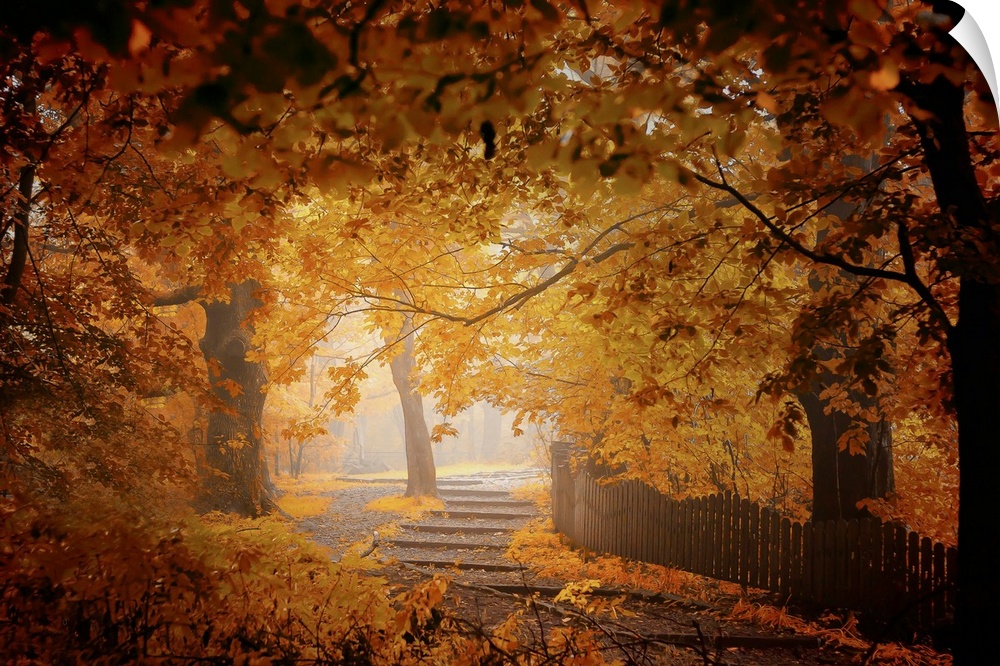Flat stairs leading through an autumn forest.
