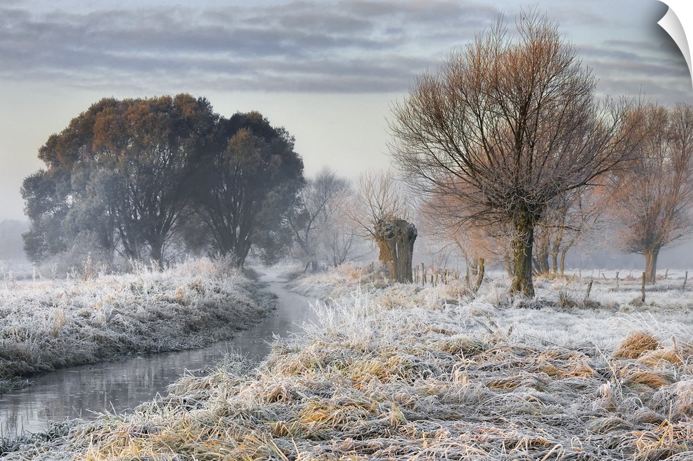 Frost-covered field with a stream and trees, Poland.