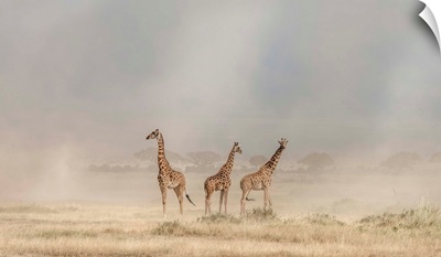 Weathering The Amboseli Dust Devils