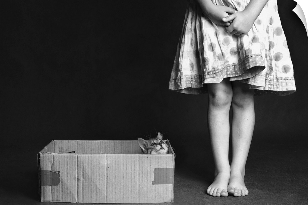 A small kitten in a cardboard box looking up at a young girl.