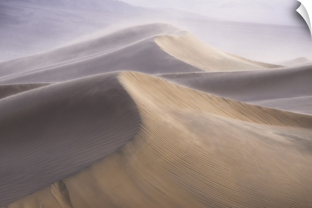 Wind storm over the dunes, death valley, california