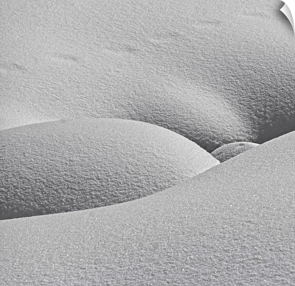 Smooth curves of the snow on the taiga in Siberia.