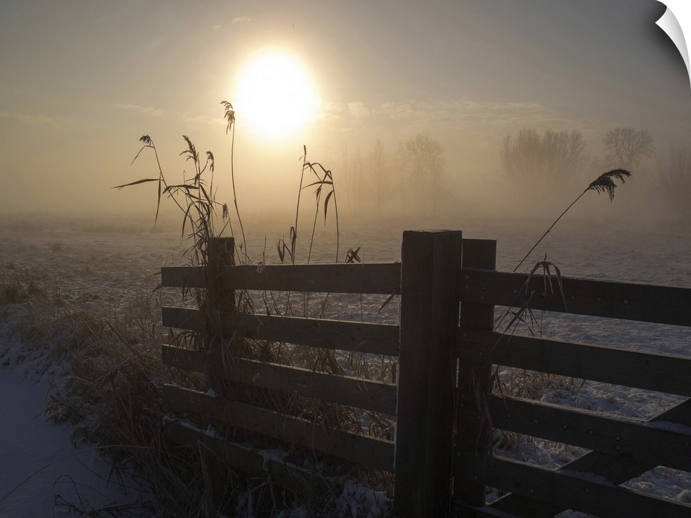 The winter sun shining on a fence in a farm field.