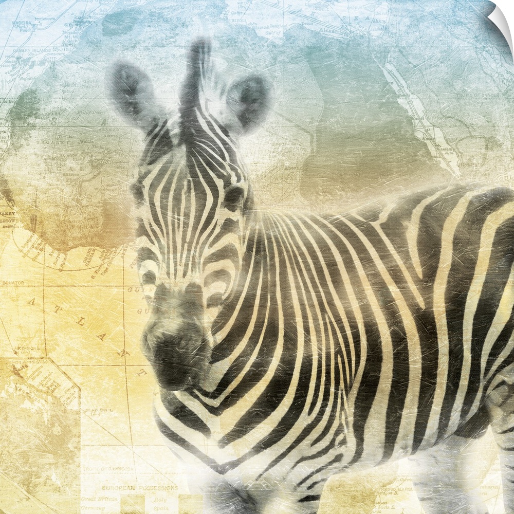 A heavily textured painting of a zebra on top of a map of Africa with cool tones at the top fading down to warm tones on t...