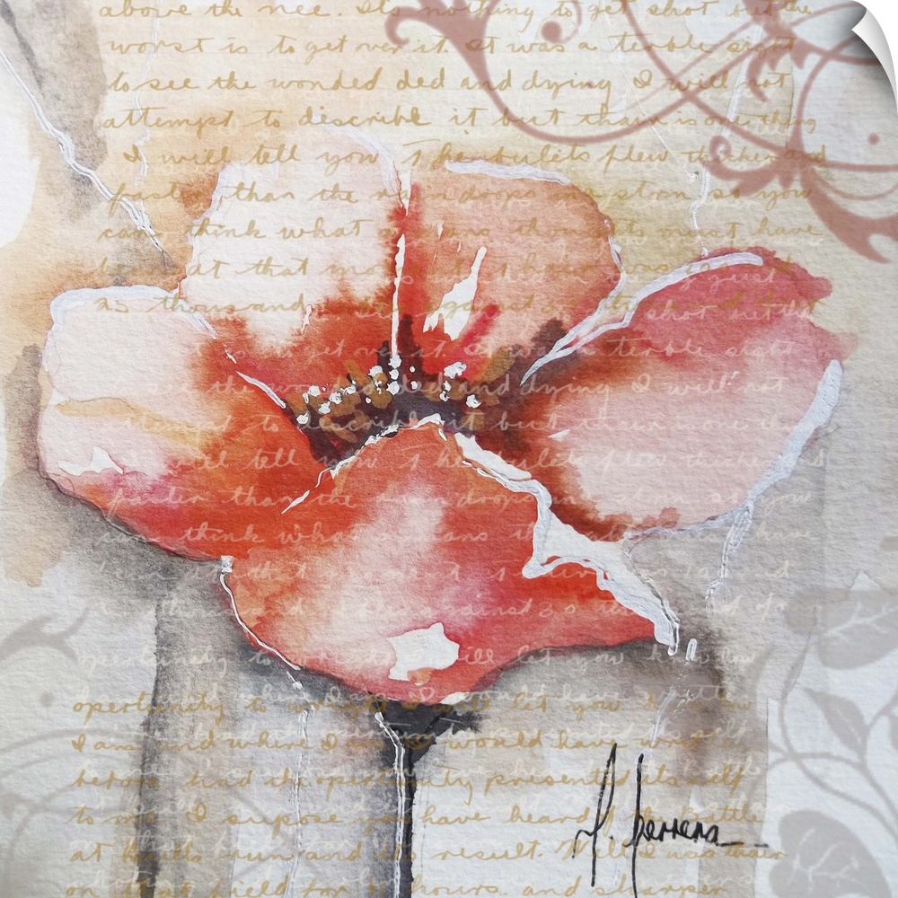 Contemporary painting of an orange poppy flower embellished with handwriting and swirls.