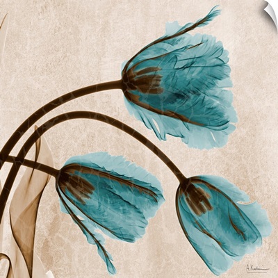 Blue Tulip X-Ray Photograph