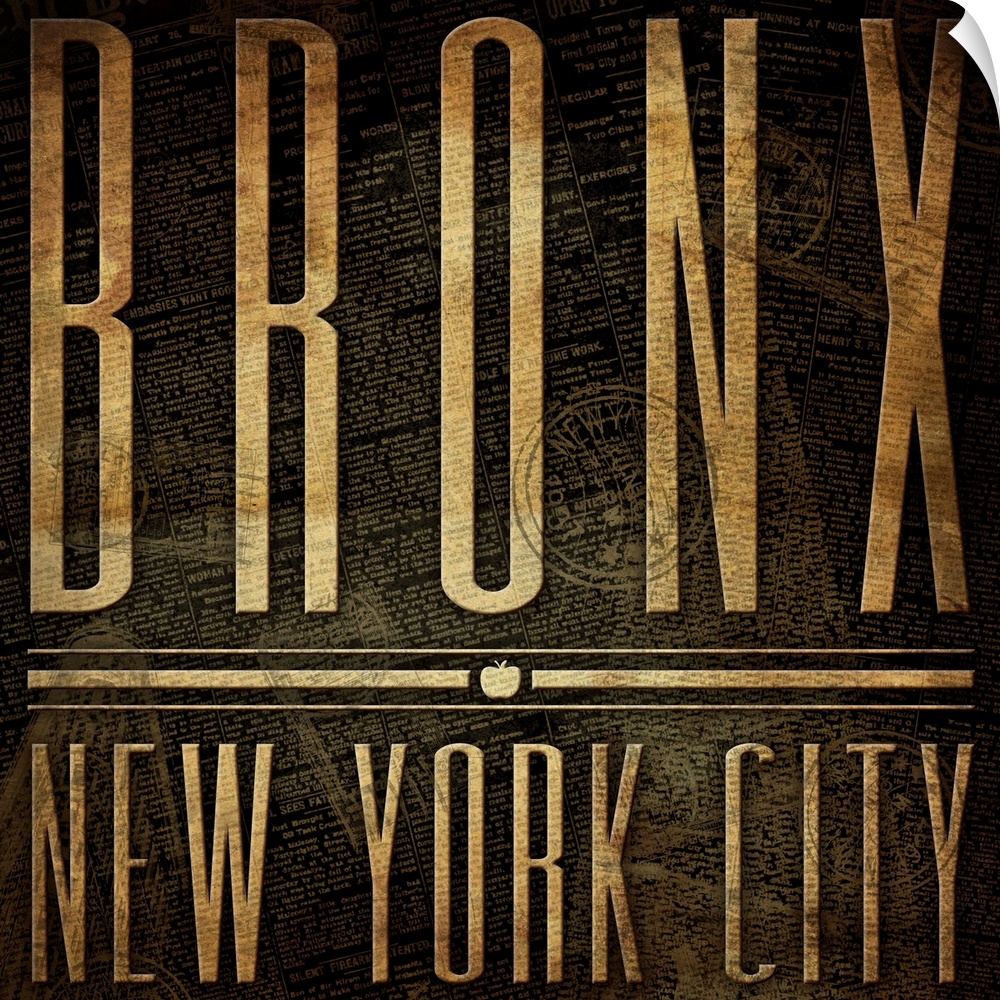 Typographical travel art with the text "Bronx, New York City" in a rustic, weathered look.