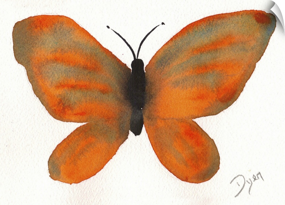 Watercolor painting of a butterfly against a white background.