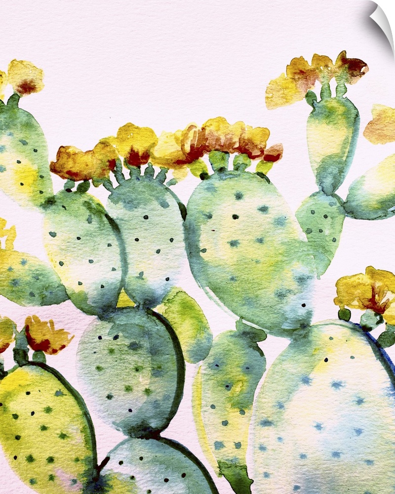 Watercolor painting of a prickly pear cactus in shades of green, blue, yellow, and red on a white background with a magent...