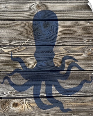 Coastal Octopus