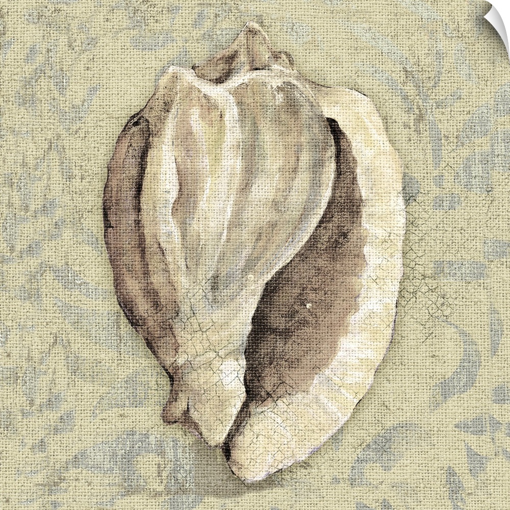 Artwork of a beige seashell against a cream colored background.