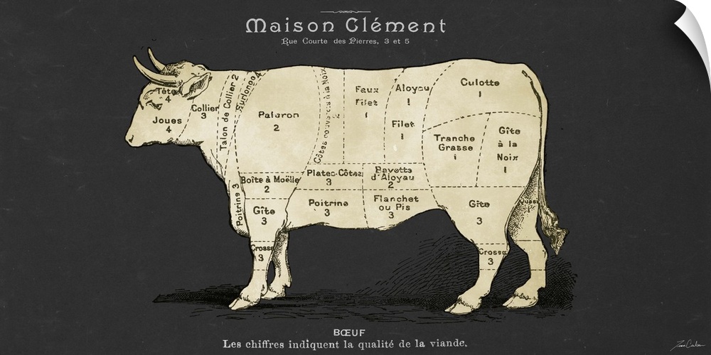 Contemporary illustration of a cow with dotted lines marked on the body sectioning the different cuts of meat.