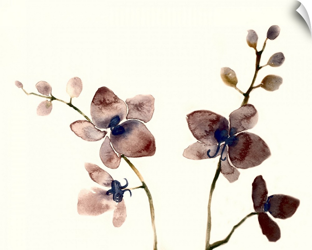Watercolor painting of four dark purple orchids on two different plants with a solid cream colored background.
