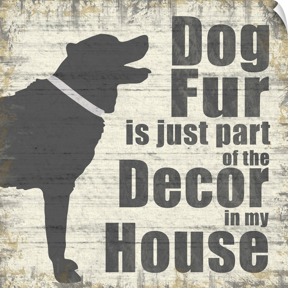 Dog Fur