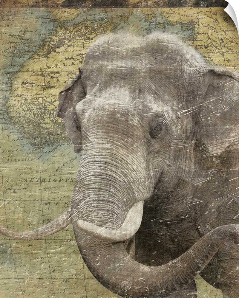 Elephant on Africa map