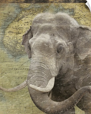 Elephant on Africa map