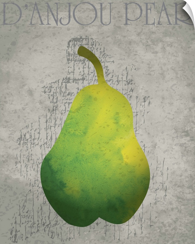 Fruit Watercolor - D'Anjou Pear