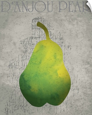 Fruit Watercolor - D'Anjou Pear