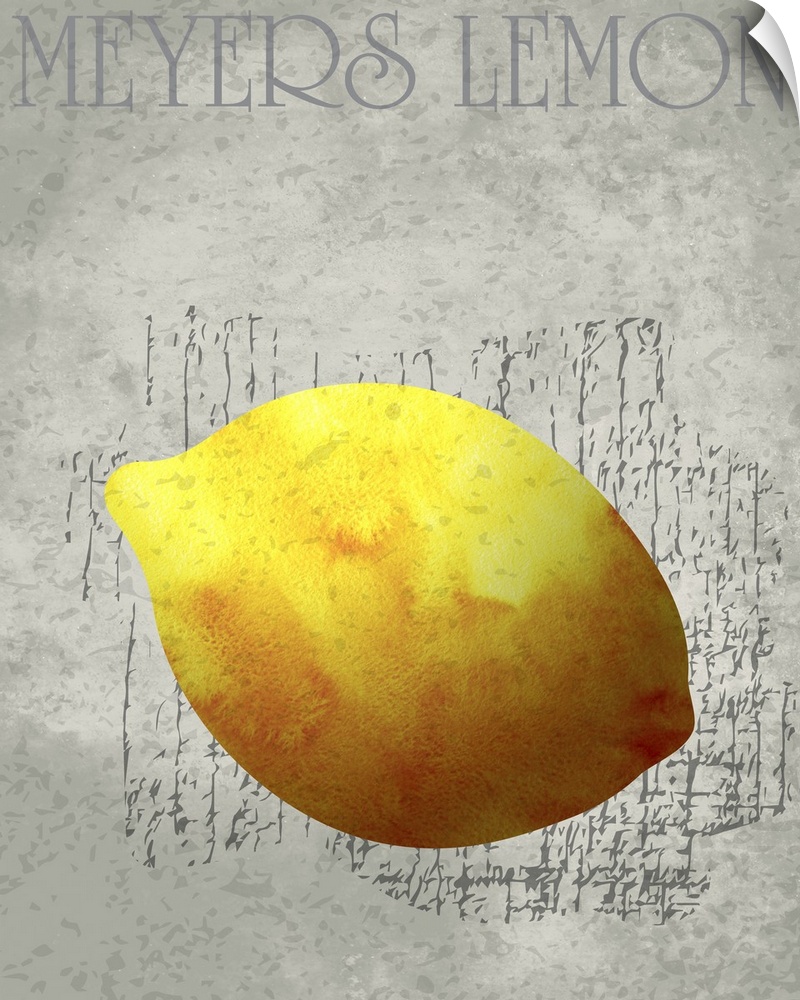 Fruit Watercolor - Meyers Lemon