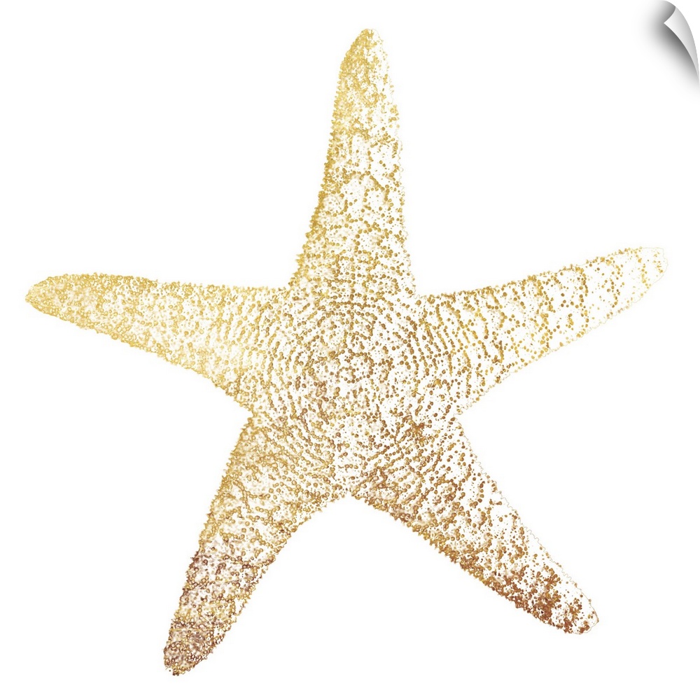 A gold foil starfish design on a white background.
