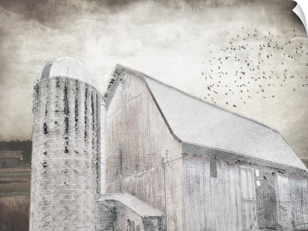 An image in shades of gray of a barn with a flock of birds above with a textured overlay.