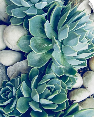 Grow Calm