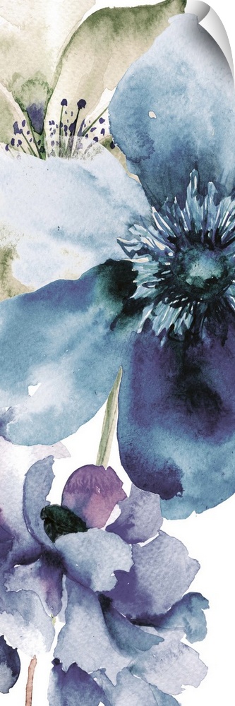 Contemporary watercolor painting of a flower with broad petals.