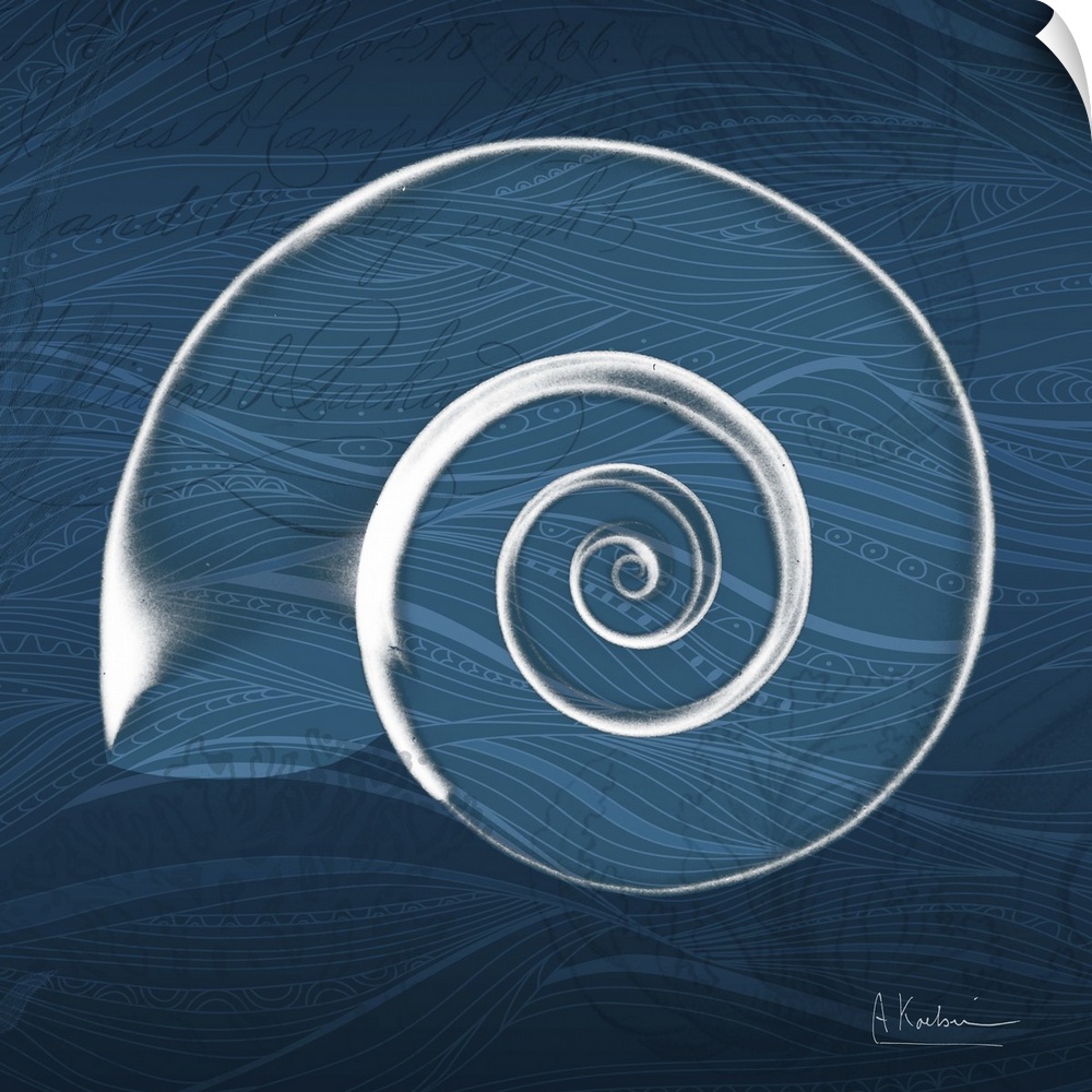 X-ray photograph of a spiral seashell against a wavy dark blue background.